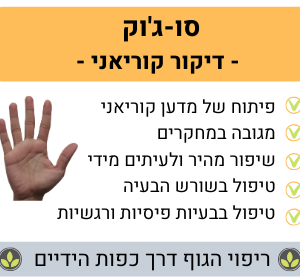 סו-ג'וק