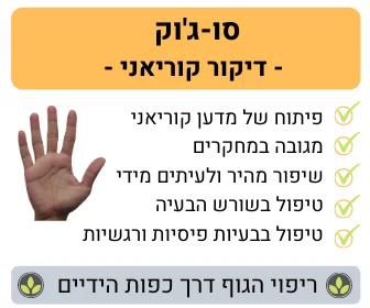 סו-ג'וק
