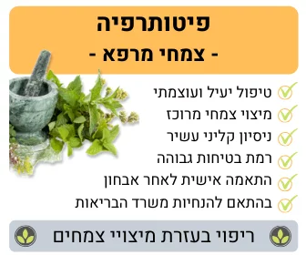 טיפול טבעי בדלקת בשתן